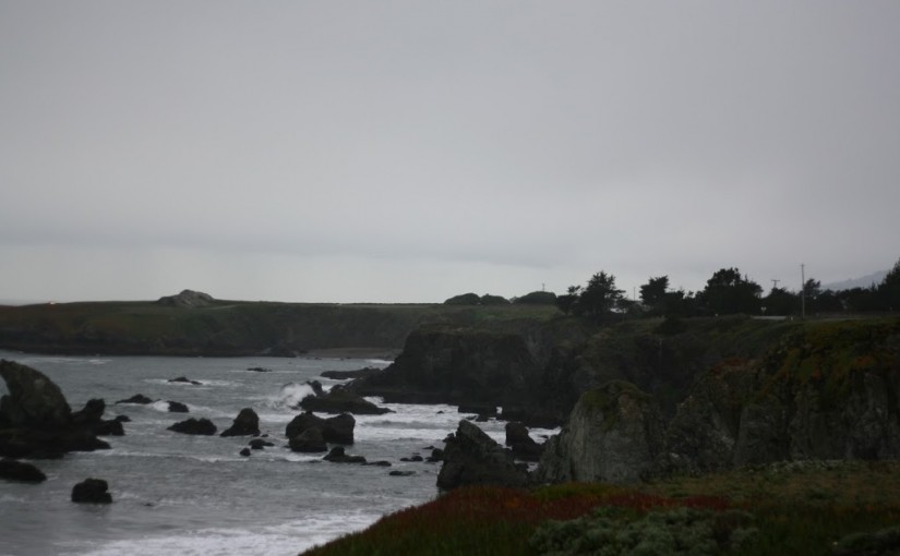 Bodega Bay